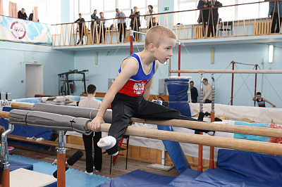 Первенство по спортивной гимнастике, посвященное Дню Победы, фото №7